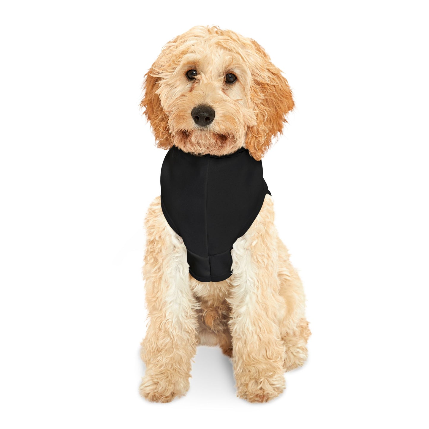 All Dogs Go to Heaven Pet Hoodie – Inspirational Gold Cross Dog & Cat Outfit