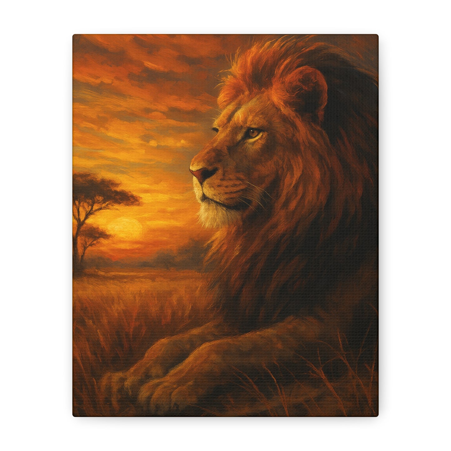 King of the Savanna - Lion Sunset Canvas