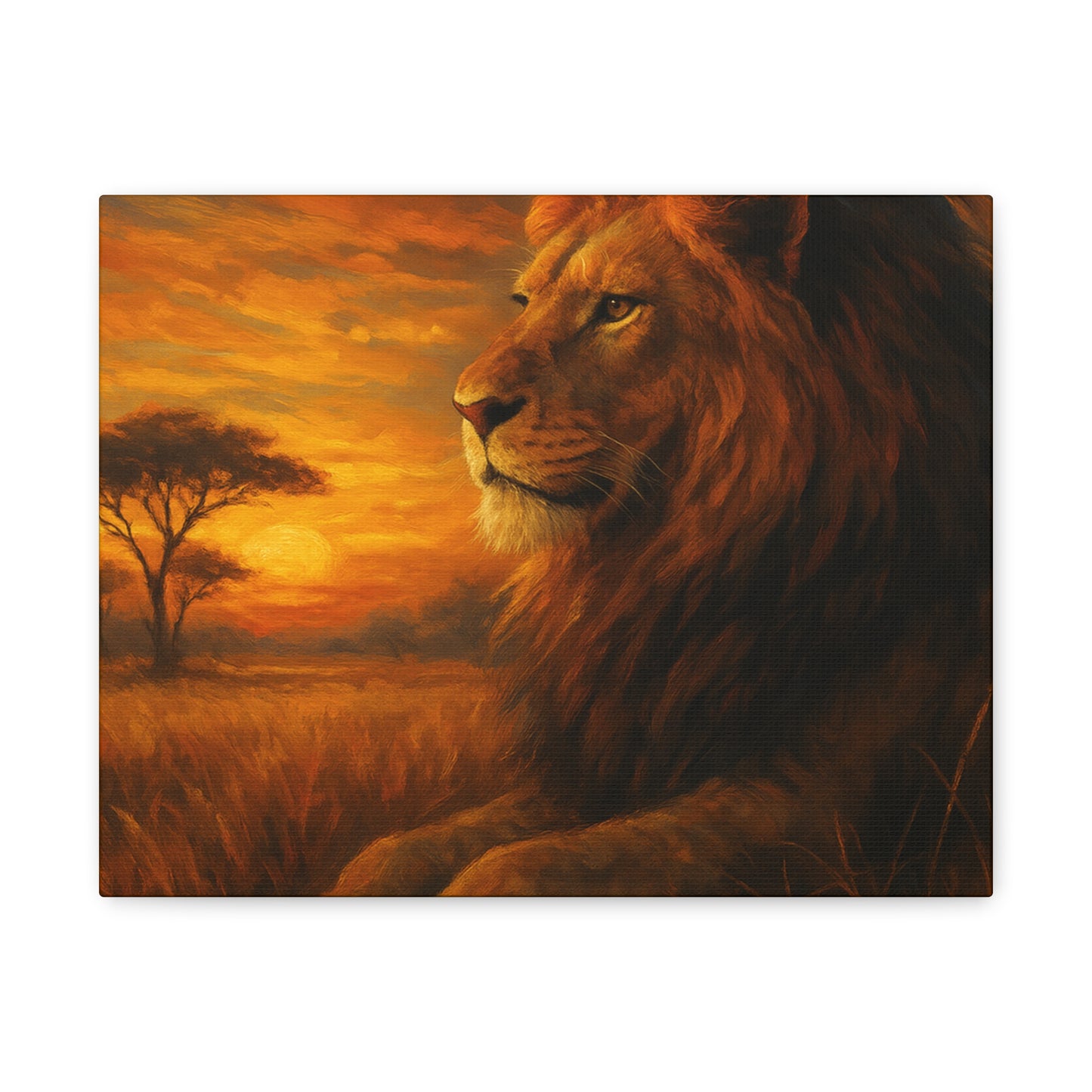 King of the Savanna - Lion Sunset Canvas