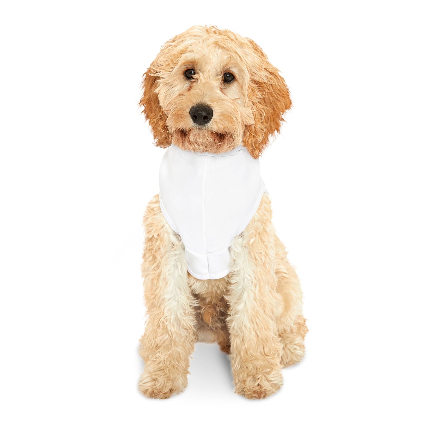 Halloween Ghost Pet Hoodie with Pumpkin Design, Dog Costume, Cat Sweater, Pet Apparel for Fall, Spooky Season Wear