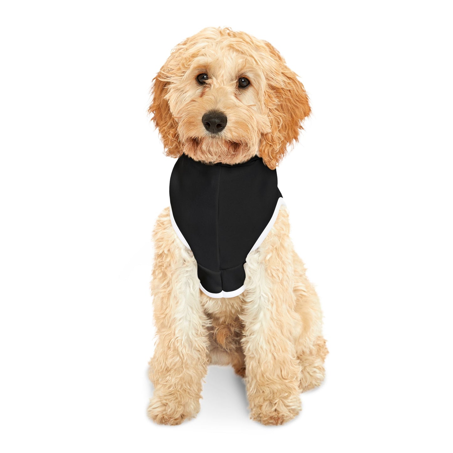 All Dogs Go to Heaven Pet Hoodie – Inspirational Gold Cross Dog & Cat Outfit