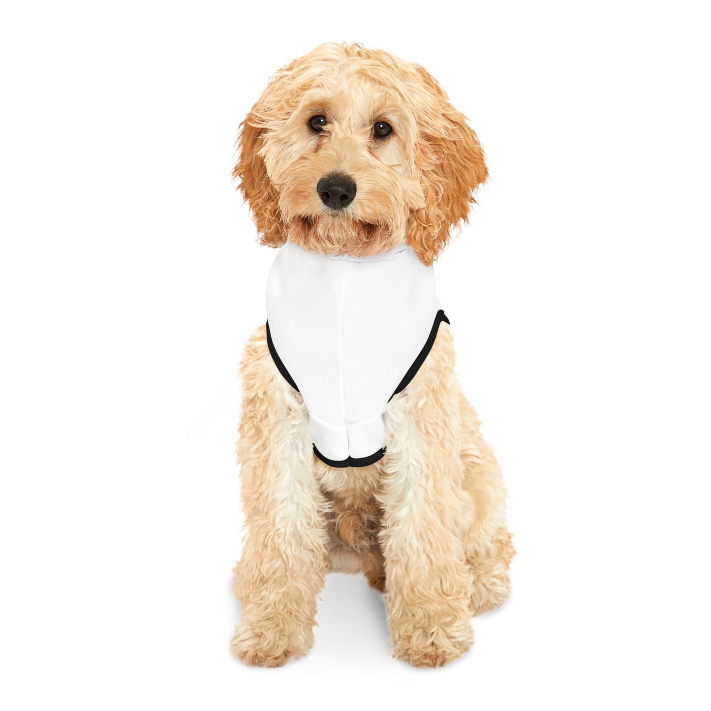 Halloween Ghost Pet Hoodie with Pumpkin Design, Dog Costume, Cat Sweater, Pet Apparel for Fall, Spooky Season Wear