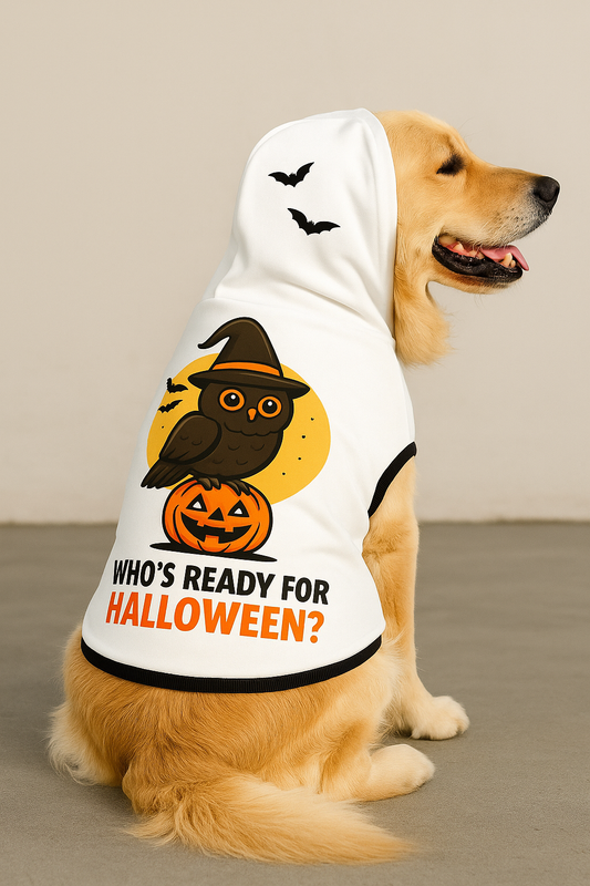 Halloween Owl Pet Hoodie – “Whoo’s Ready for Halloween?” Dog & Cat Costume